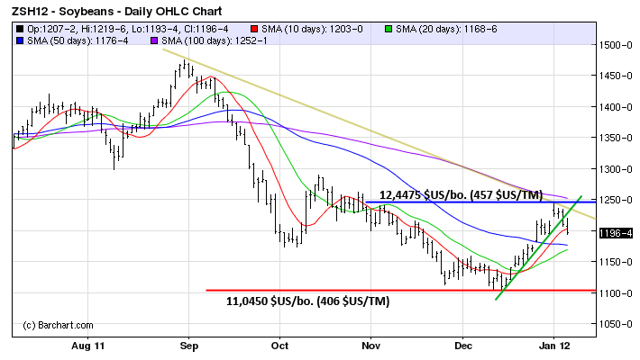 Soy tech MT 6 jan 12